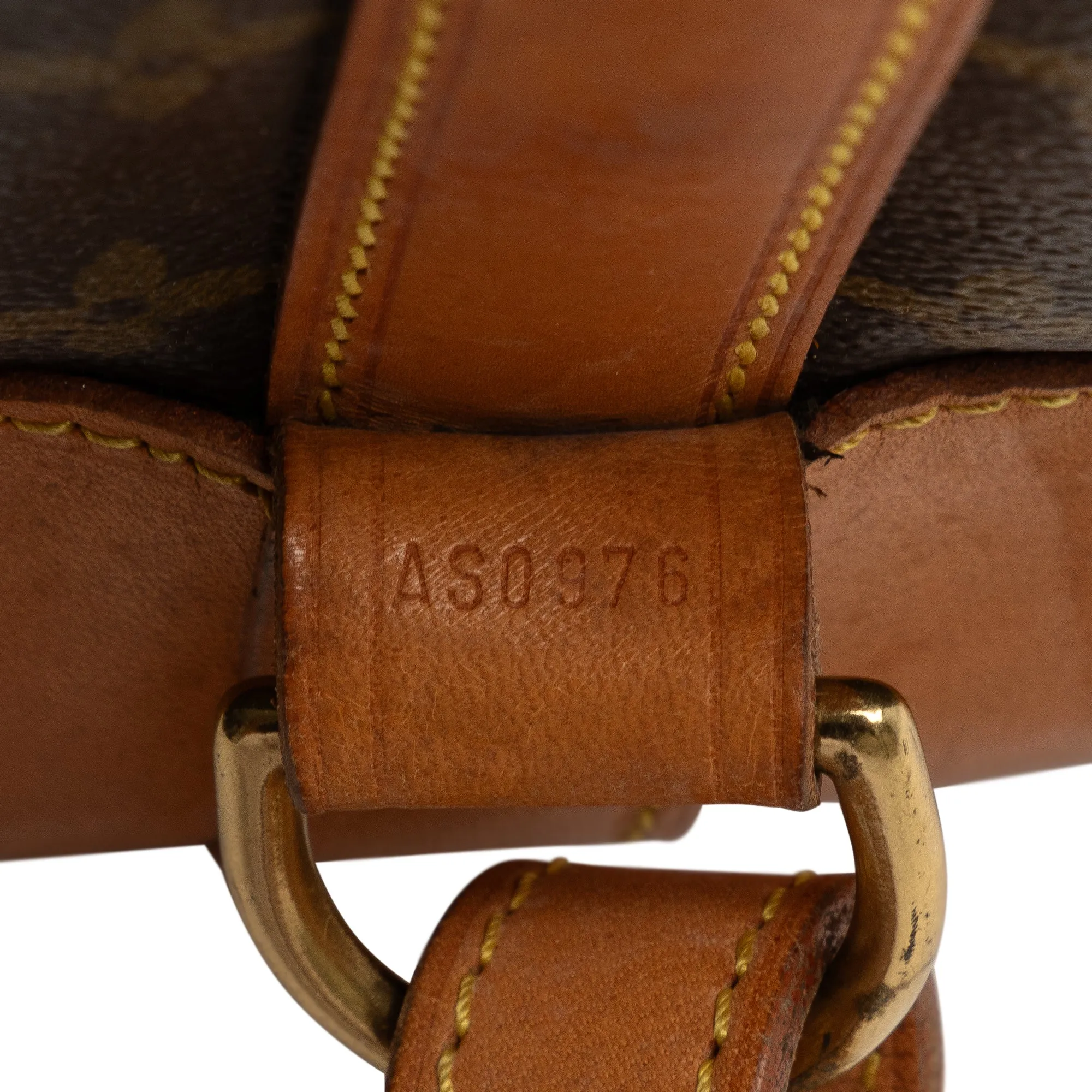 Brown Louis Vuitton Monogram Randonnee PM Bucket Bag