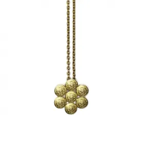 Gold Celine Multi Coin Pin Chain