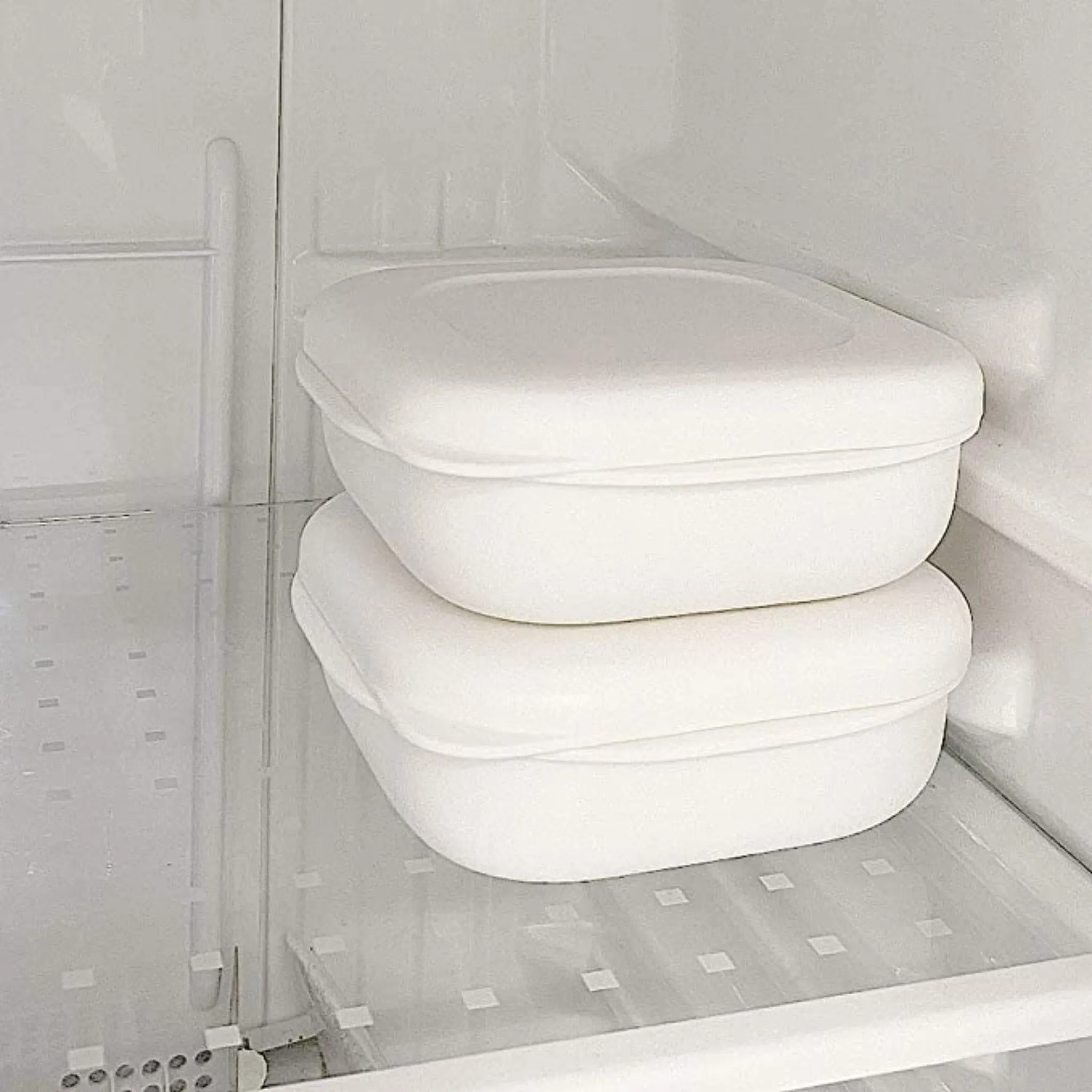 【MARNA】Rice Container for Freezer 2 pcs -冷凍ごはん容器 2個入り- Regular size